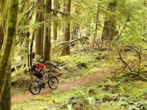 Mountain Bike Transfers