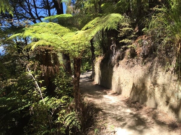 Abel Tasman Coast Track, NZ