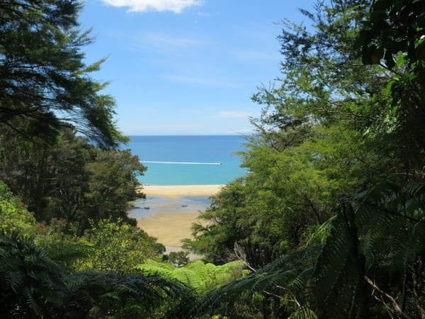 Beautiful Abel Tasman Hikes