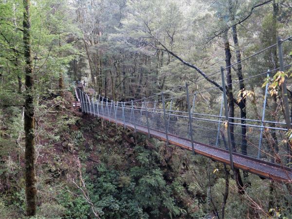 Old Ghost Road Foot Bridge