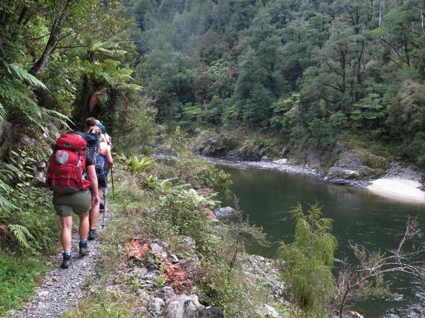 Walking Along The Mohikinui Gorge