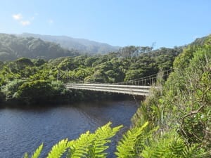 Heaphy Track